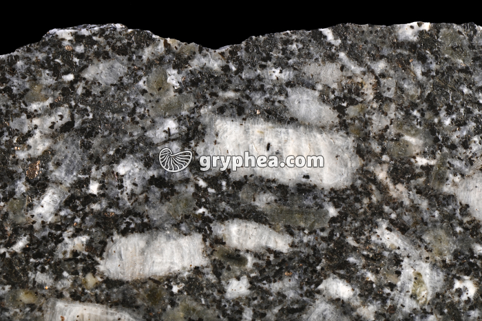 Granite porphyrique (Granite des crêtes, Vosges, France) - gryphea.com